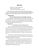 Báo cáo tổng kết và phương hướng Đội