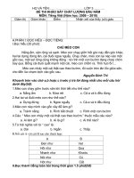 Đề thi KSĐN khối 3