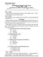 đề khảo sát giữa kỳ