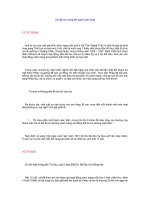 Chi đội em mang tên người anh hùng