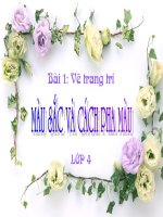 Mau sac va cah pha mau - n hau bg