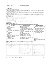 Giáo án Hóa 8 (CN)