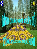 Bai thao giang-tiet 6