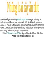 Thực vật ăn thịt