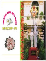 CÂY TRE VIỆT NAM - NGUYỆT