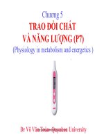 TRAO ĐỔI CHẤT VÀ NANG LUONG P7