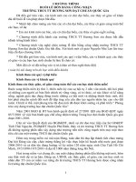 chuong trinh don truong chuan giai doan 1