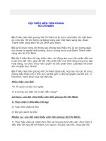 LỊCH SỬ ĐỘI TNTPHCM