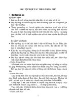 cách tổ chức hoạt động nhóm