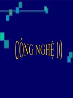 tập hợp bài giảng công nghệ 10