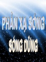 SONG DUNG(CO DONG)