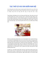 Phong tục tập quán Việt: Tục thờ cá voi ven biển Nam bộ