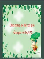 trợ tư, thán từ