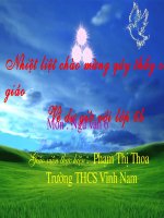 Tiết 109: Cây tre Việt nam