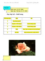 Giáo án lớp 3  Tuần 1 thu 2,3