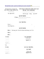 Mẫu Quyết định cá biệt quy định trực tiếp