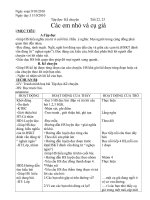 GIÁO AN TUẦN 8 (Soạn theo CKTKN 2010)