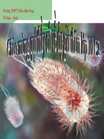 bai 7 te bao nhan so