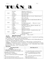 tuân 3 đầy đủ các môn lớp 2