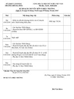 Kế hoạch P.hiệu trưởng chuyên môn-tuần 9