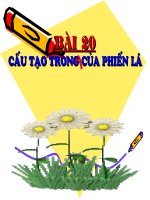 Bai 20_C.tao trong cua phien la