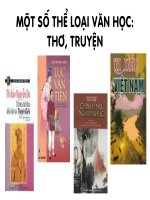 Mot so the loai van hoc: tho, truyen