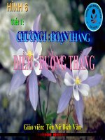 Tiết : Điểm - Đường thẳng (Hình 6)