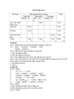 Đề thi HKI Hóa 9