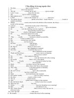 verbs conjugation exercises