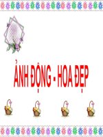 Hình động. Hoa đẹp