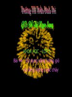 SỬ DỤNG NĂNG LƯỢNG GIÓ VÀ NƯỚC CHẢY