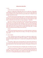 những câu hát châm biếm