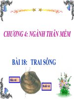 bài sinh hoc 7