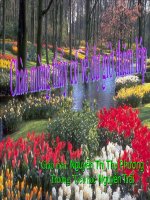 bai luyện từ và câu lớp 5