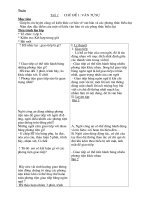 Giáo án tự chọn Ngữ văn 6 (TK)