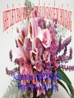 Tap doclop 3-Ve que huong