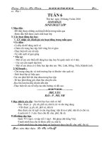 TUAN 6- LOP 1 (CKTKN)