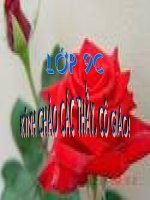 Tiết 14 - Đại số: Căn bậc ba