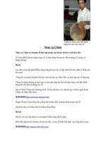 Nhạc cụ dân tộc Chăm