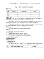 hoa 8 ( 1- 20).CAO BĂNG