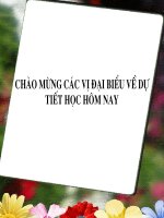 Bai Nuoc Cham Pa