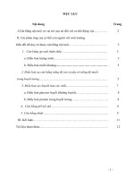 Tiểu luận cao học- cơ sở hóa lí trong sinh học