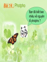 bài photpho