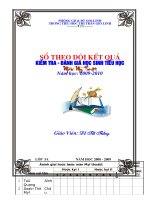 Mẫu sổ điểm môn Mỹ thuật TH