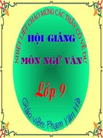 Mieu ta trong van ban tu su.