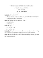 Đề khảo sát HSG Toán lớp 4