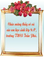 Chiếc lược ngà (tiết 1)