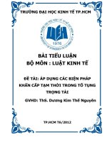 ÁP DỤNG CÁC BIỆN PHÁP KHẨN CẤP TẠM THỜI TRONG TỐ TỤNG TRỌNG TÀI