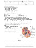 2 Đề KT của trường Lomoxop