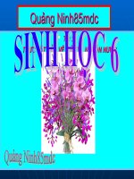 TIET 5 THUC VAT VOINGUON NUOC BAO VE DAT